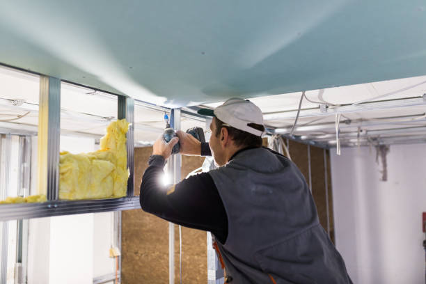 Best Insulation Removal  in Battle Creek, NE