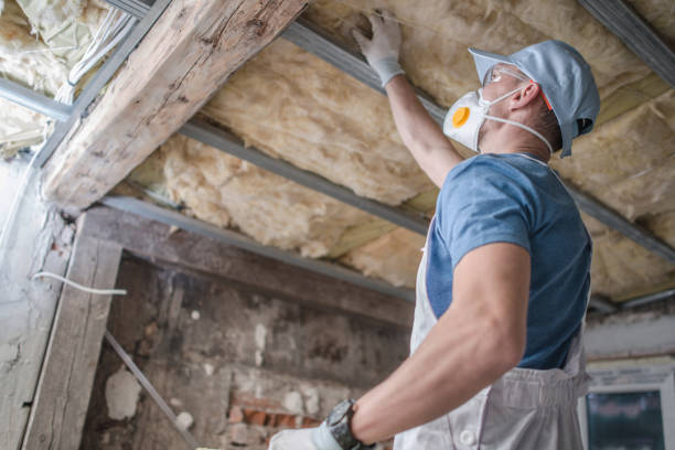 Best Energy-efficient Insulation  in Battle Creek, NE