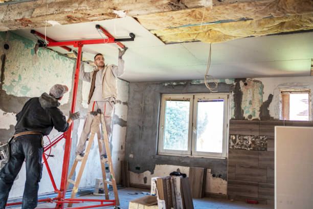 Best Attic Insulation Installation  in Battle Creek, NE