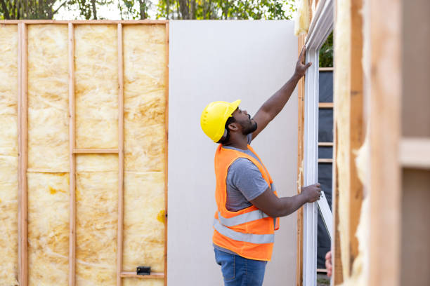 Best Home Insulation Services  in Battle Creek, NE