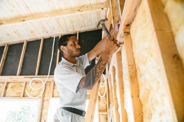 Best Best Insulation Companies  in Battle Creek, NE