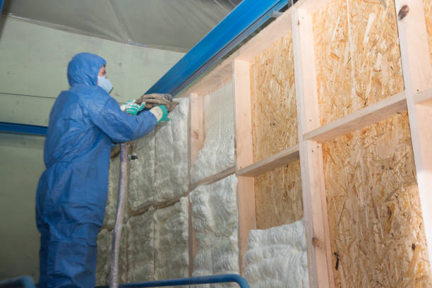 Best Insulation Repair Services  in Battle Creek, NE