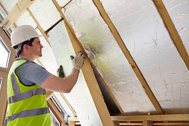 Best Cellulose Insulation  in Battle Creek, NE
