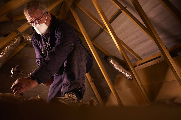 Best Garage Insulation Installation  in Battle Creek, NE