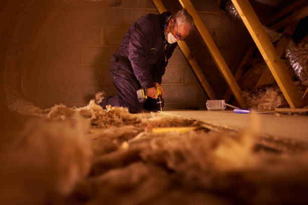 Insulation Contractors for Homes in Battle Creek, NE