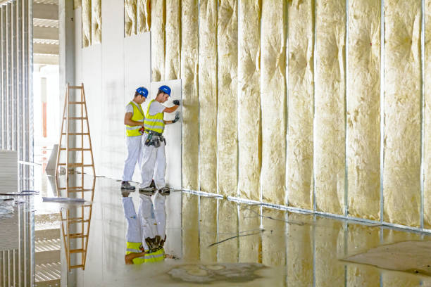 Best Wall Insulation Contractor  in Battle Creek, NE